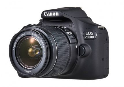 Canon 2000d примеры фото